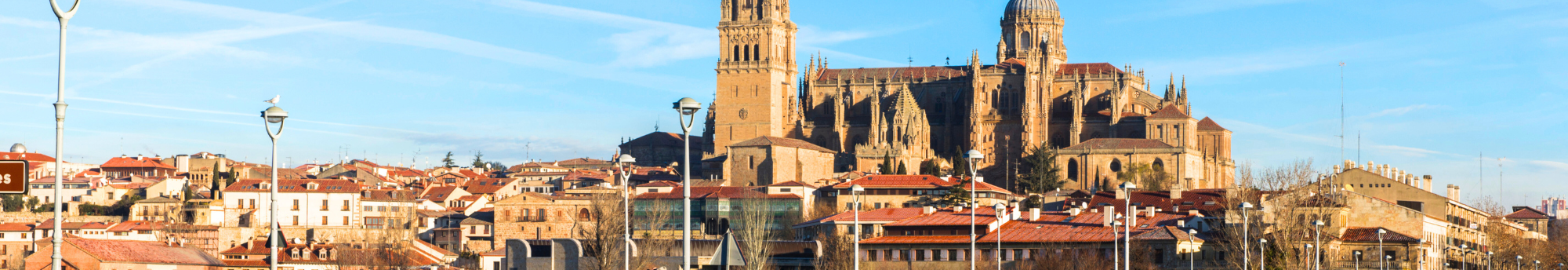 Hotel + Entradas Free Tour por Salamanca