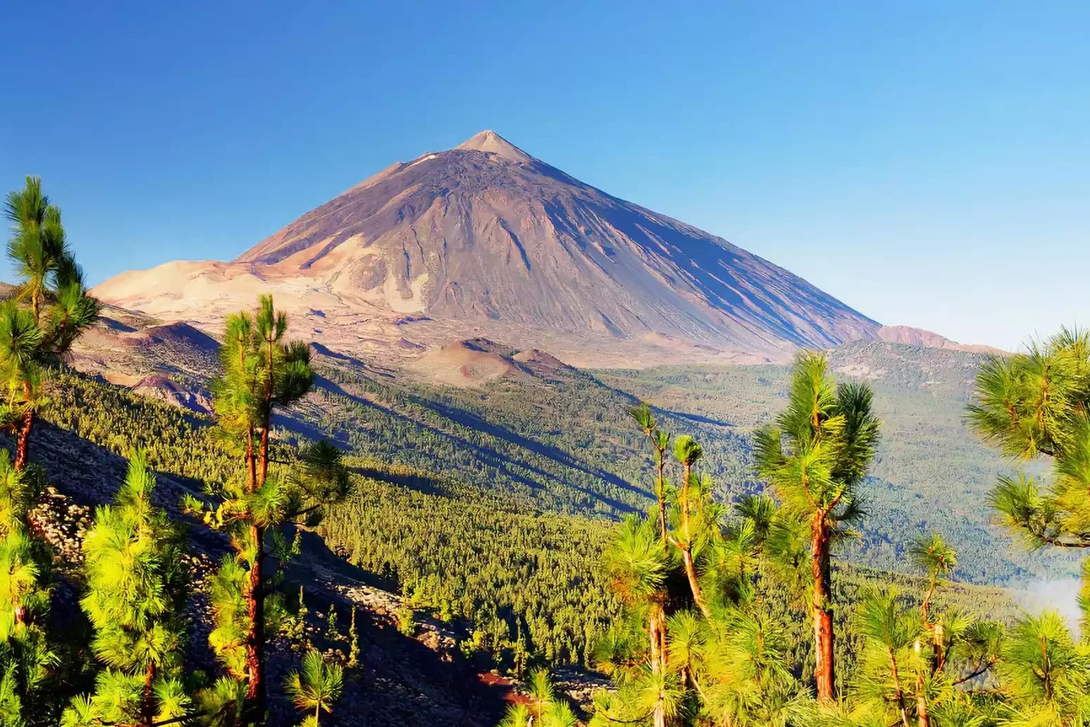 Vuelo + Hotel a Tenerife