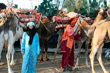 Paseo en Camello en Mojácar