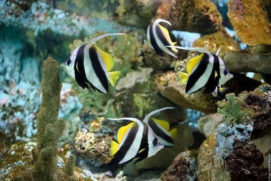 Aquarium d'Amnéville-2