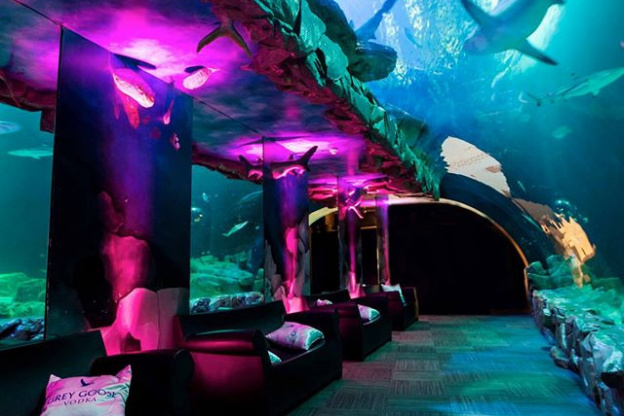 Aquarium de Paris-1