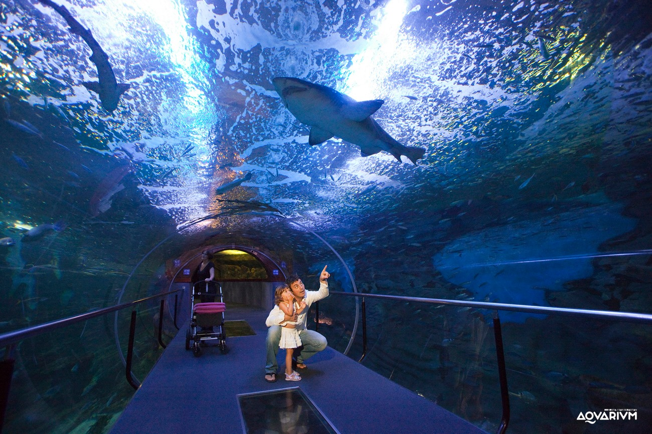 Aquarium Donostia-San Sebastián-3