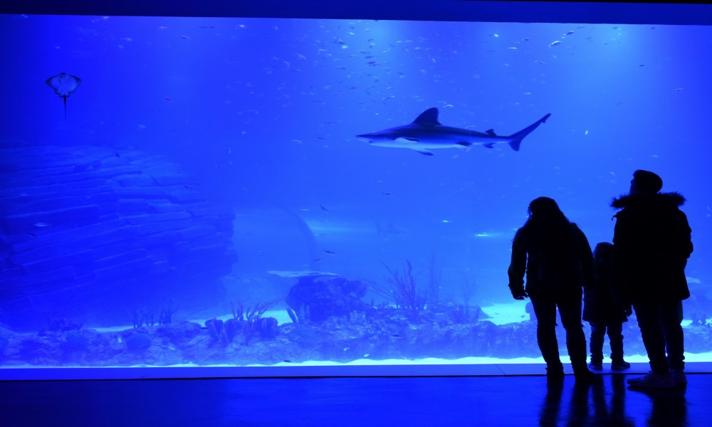 Atlantis-3