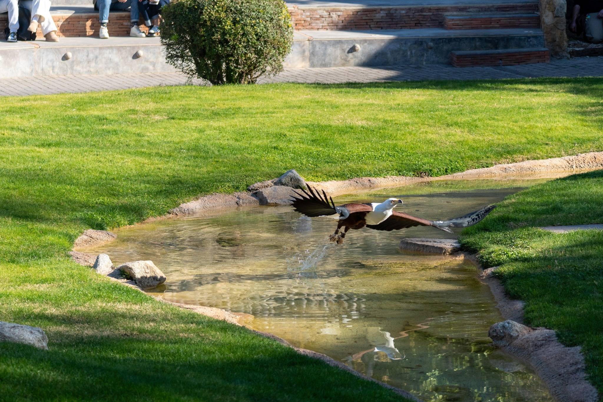 Bioparc Valencia-10