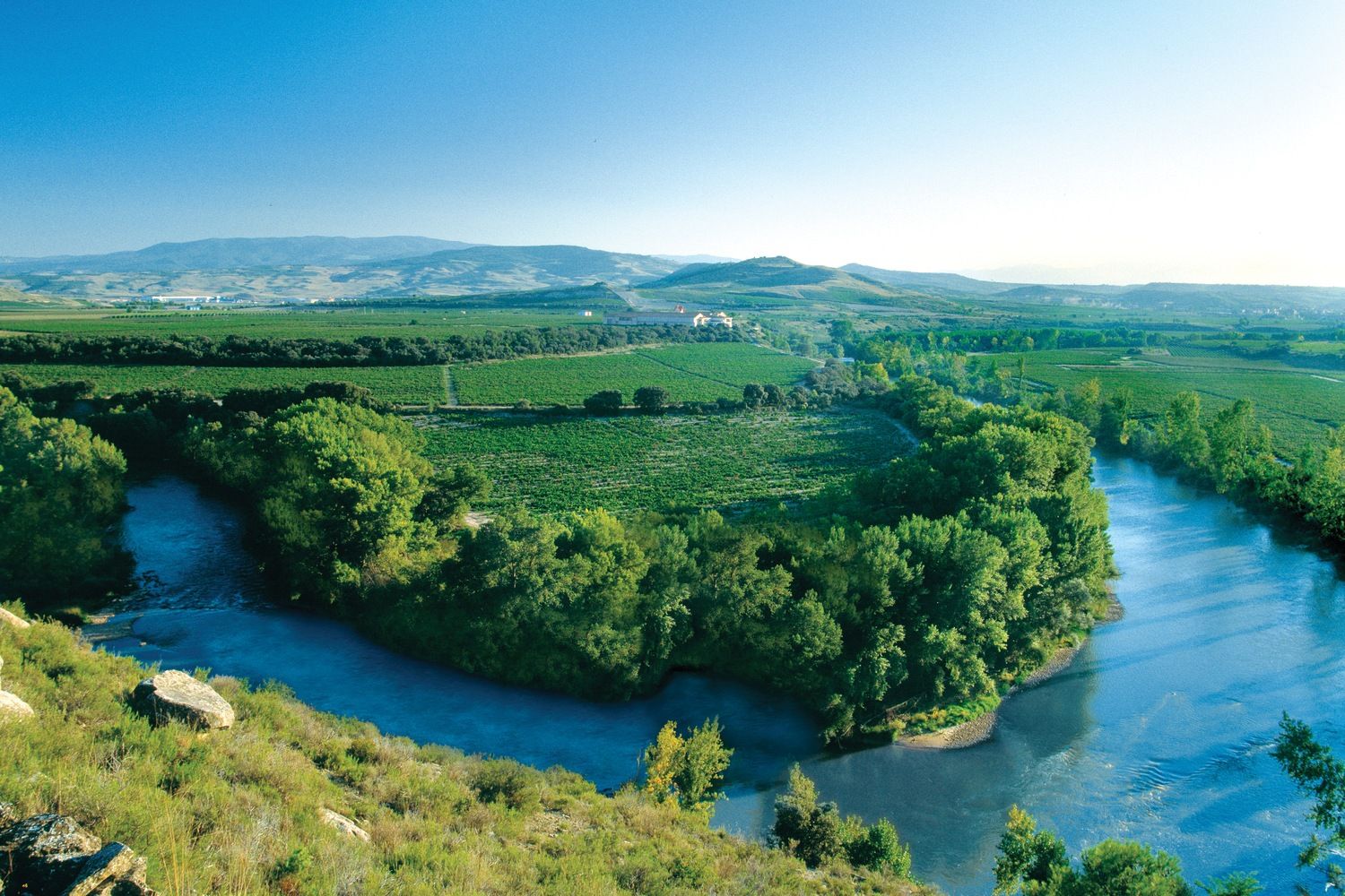 Bodega Finca Valpiedra