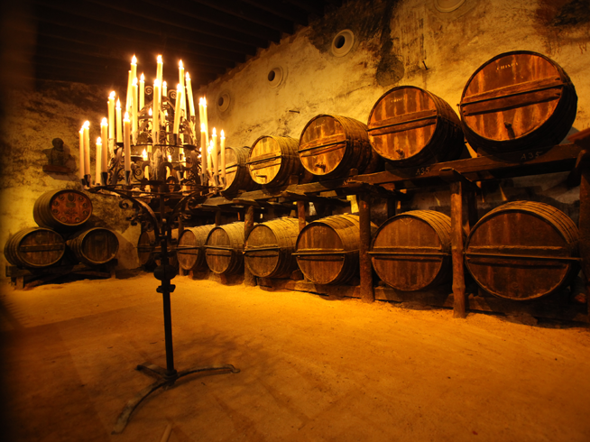 Bodegas Gonzalez Byass-1