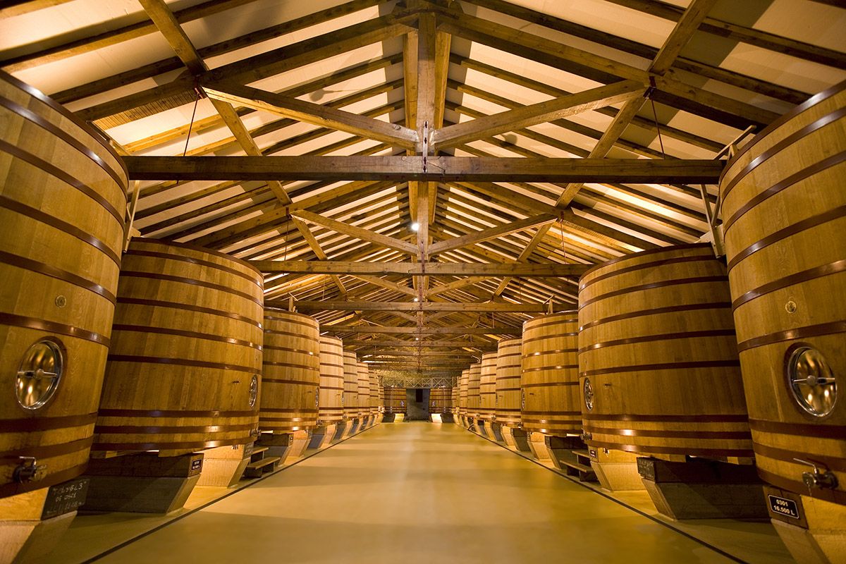 Bodegas CVNE - La Rioja-4