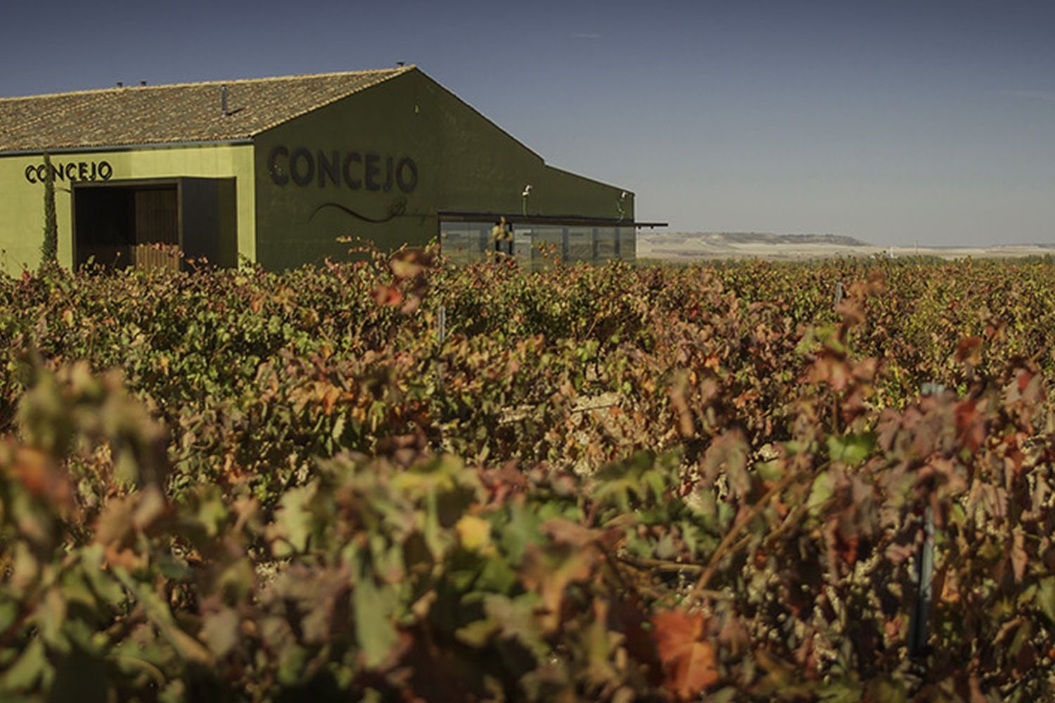 Concejo Bodegas-1