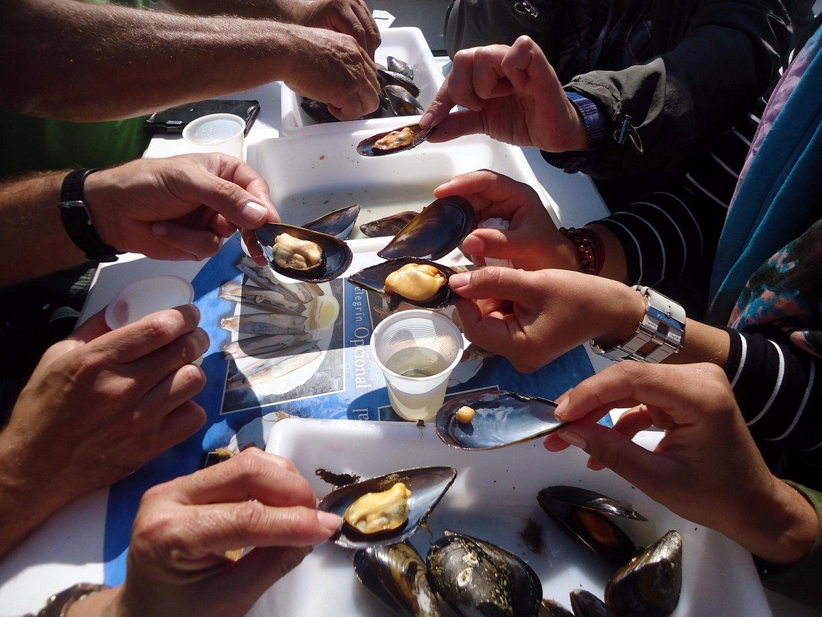 Crucero por las Bateas en O Grove-5