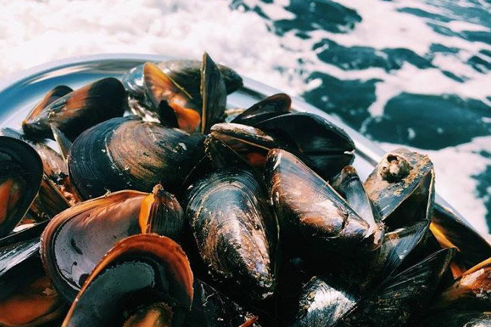 Crucero por las Bateas en O Grove-8