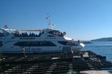 Crucero por las Bateas en O Grove-3