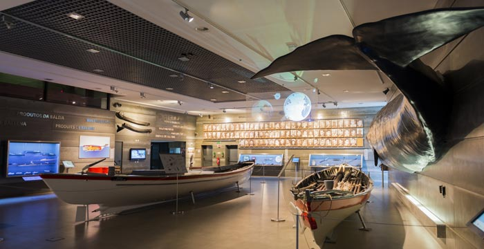 Museu da Baleia da Madeira-6