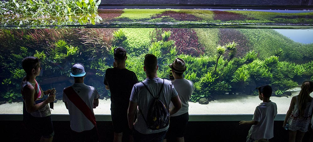 Oceanario de Lisboa-12