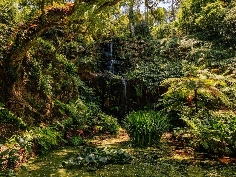 Parque e Palácio de Monserrate-2