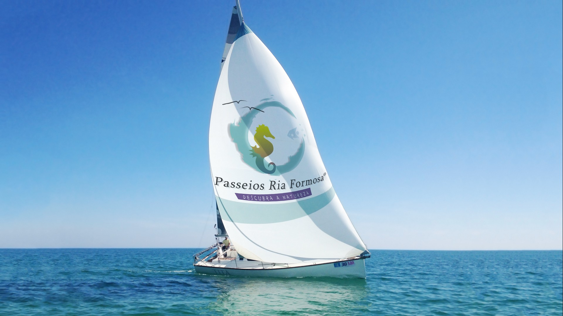 Passeios Ria Formosa-2