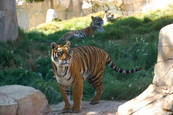 Terra Natura Benidorm