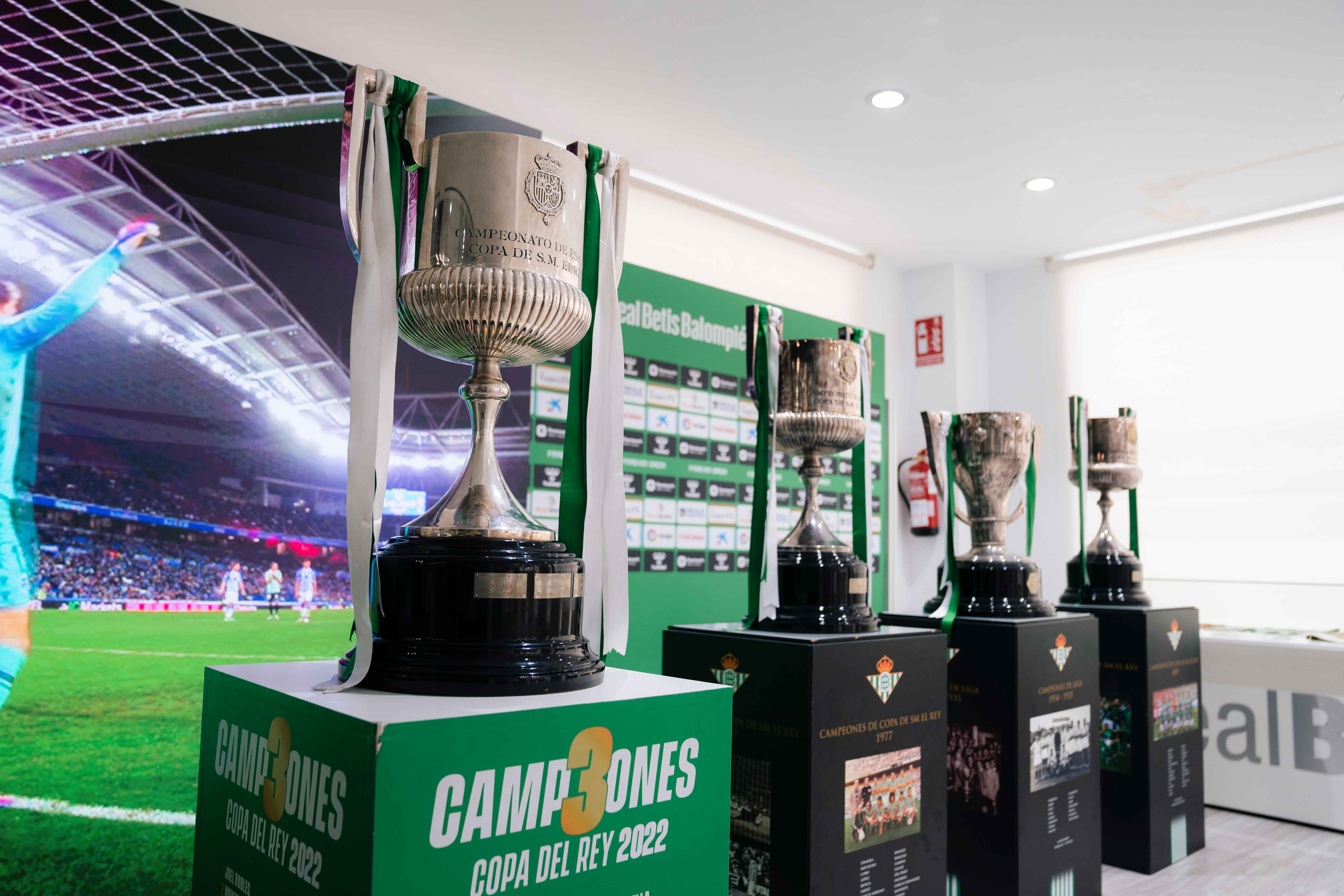 Tour Estadio Benito Villamarín - Real Betis Balompié-6