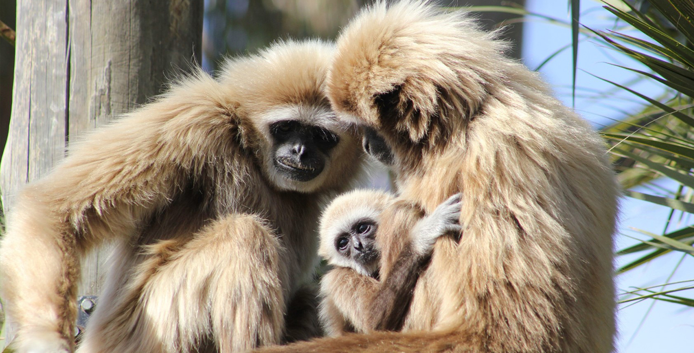 Jardim Zoológico de Lisboa-12