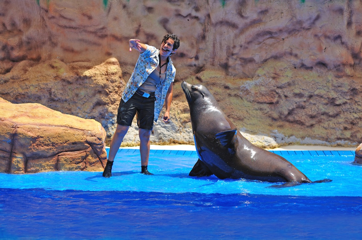 Zoomarine Dolphin Emotions-6